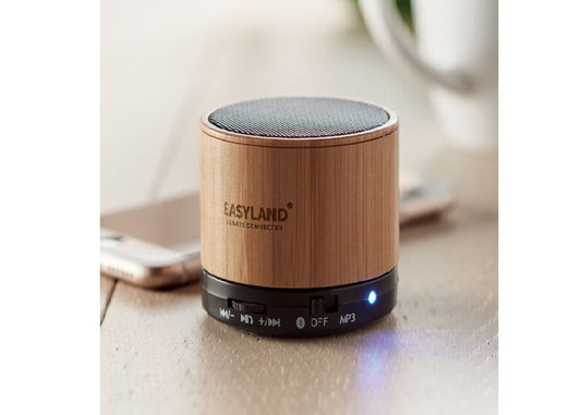 Haut-parleur sans fil 4.2  "personnalisé"