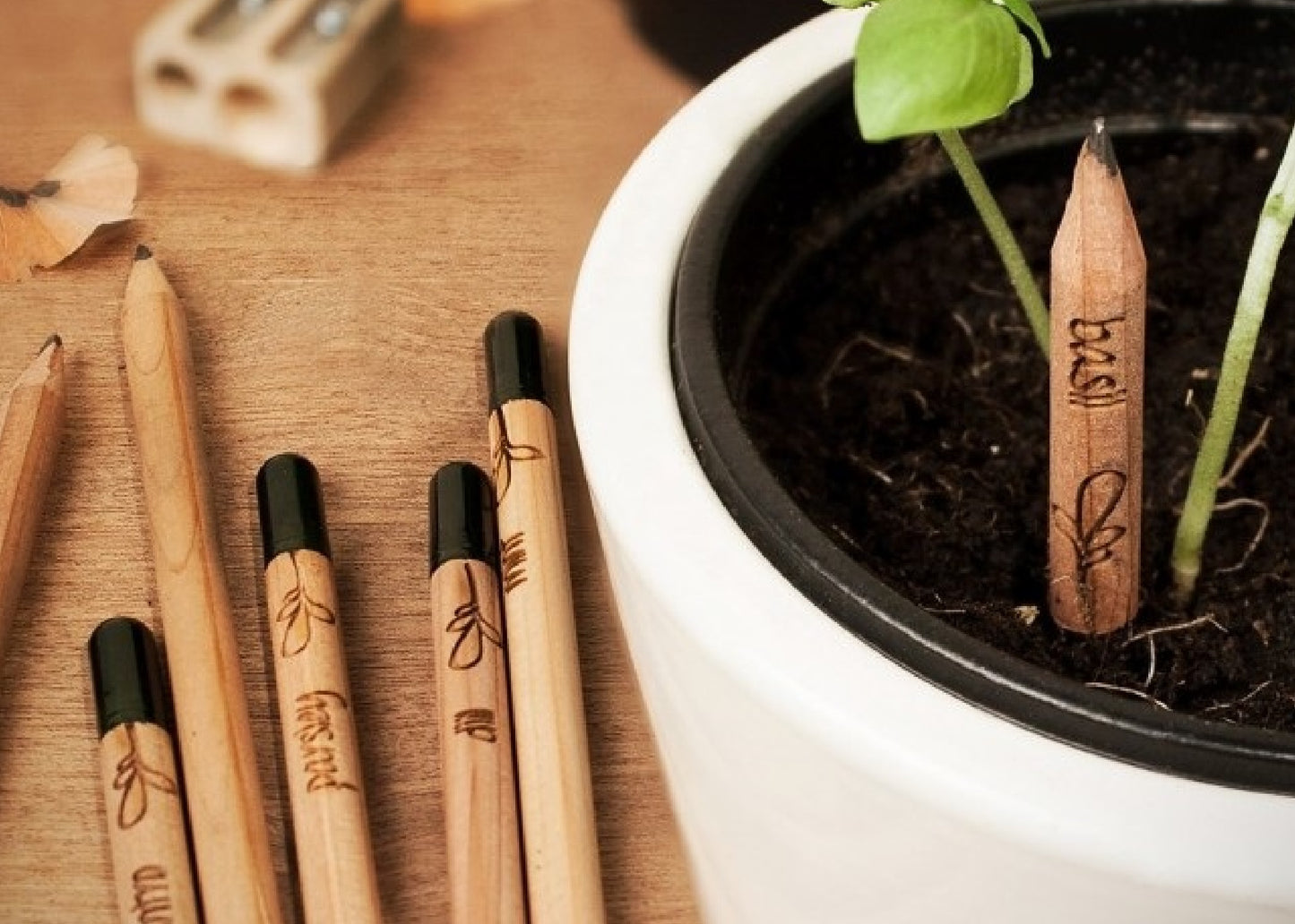 Sprout pencil personnalisé