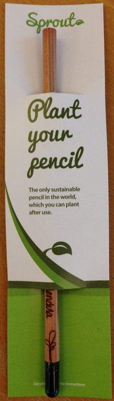 Sprout pencil personnalisé