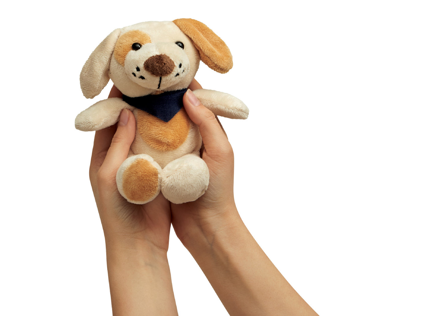 Peluche chien 18cm personnalisé